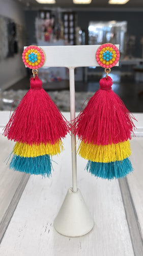 Earrings